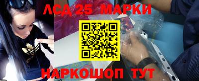 стаф Нальчик