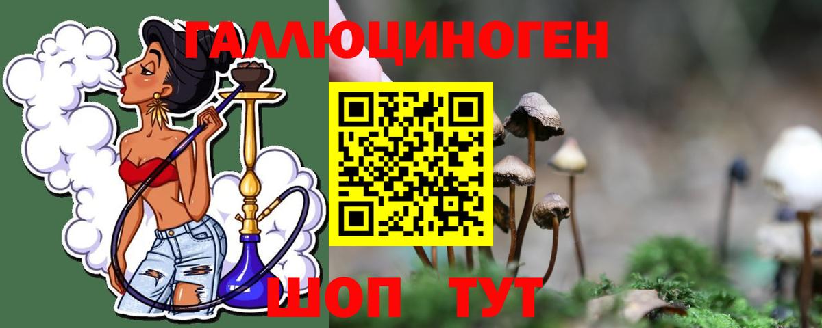 Галлюциногенные грибы прущие грибы Тихорецк
