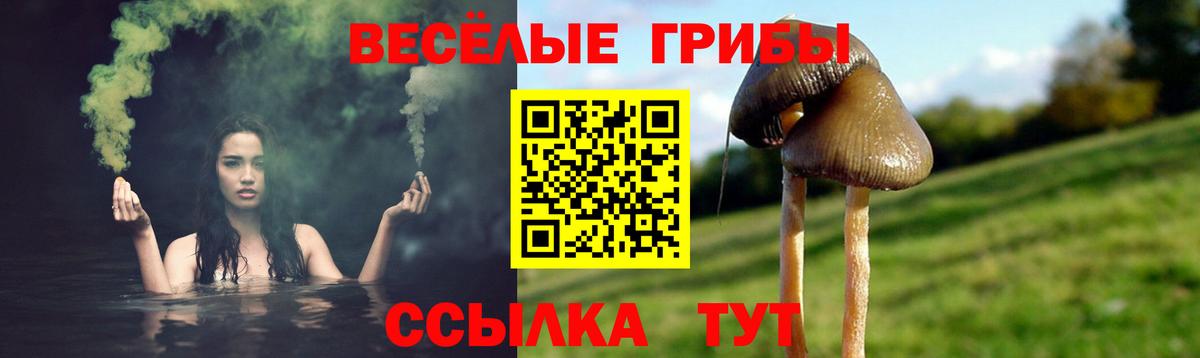 Галлюциногенные грибы мухоморы  Вход с VPN  Тихорецк 
